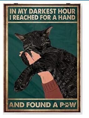 Black Cat Metal Tin Sign